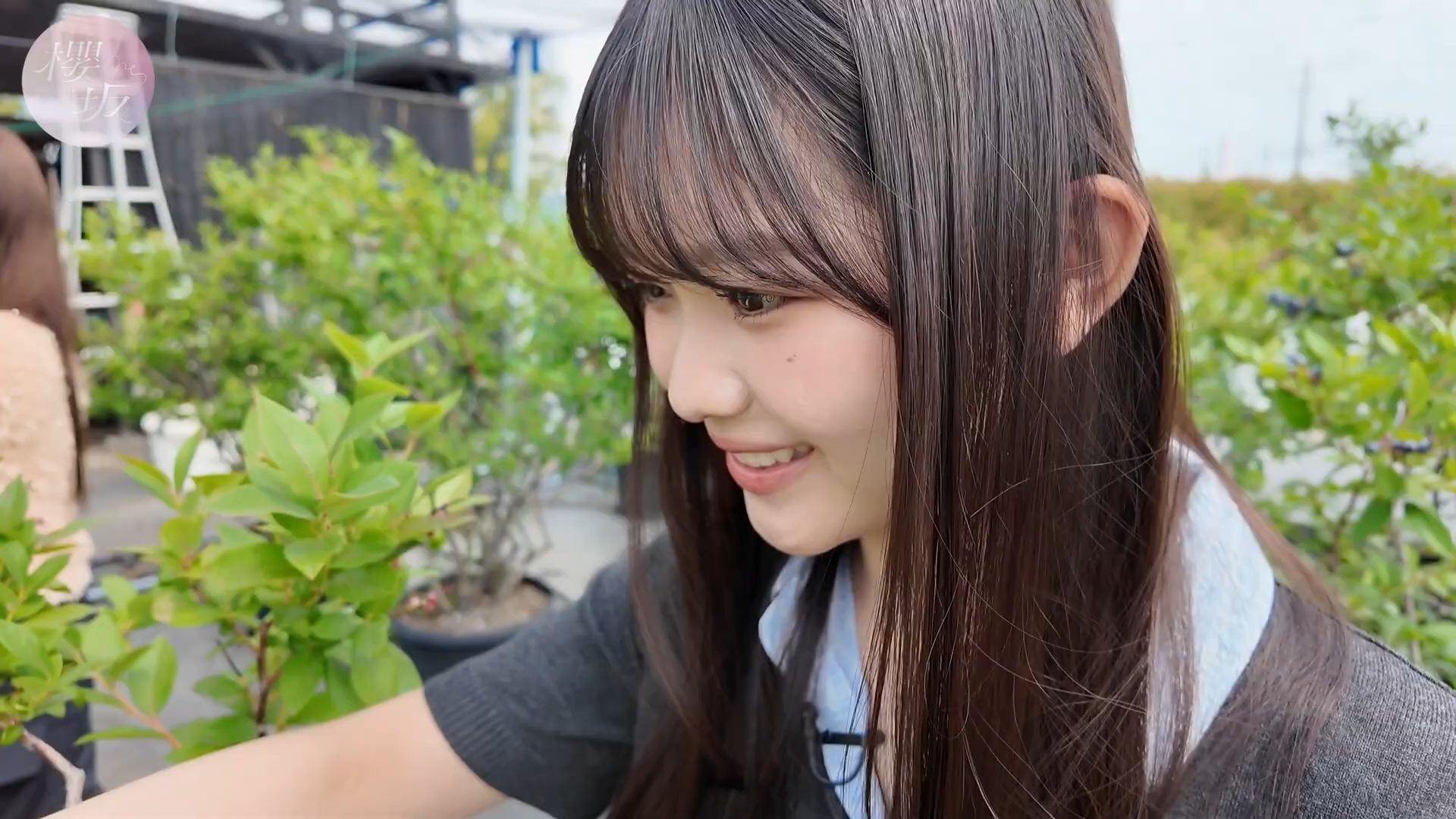 Scene 2 — 260818 Sakurazaka Channel Sub Indo